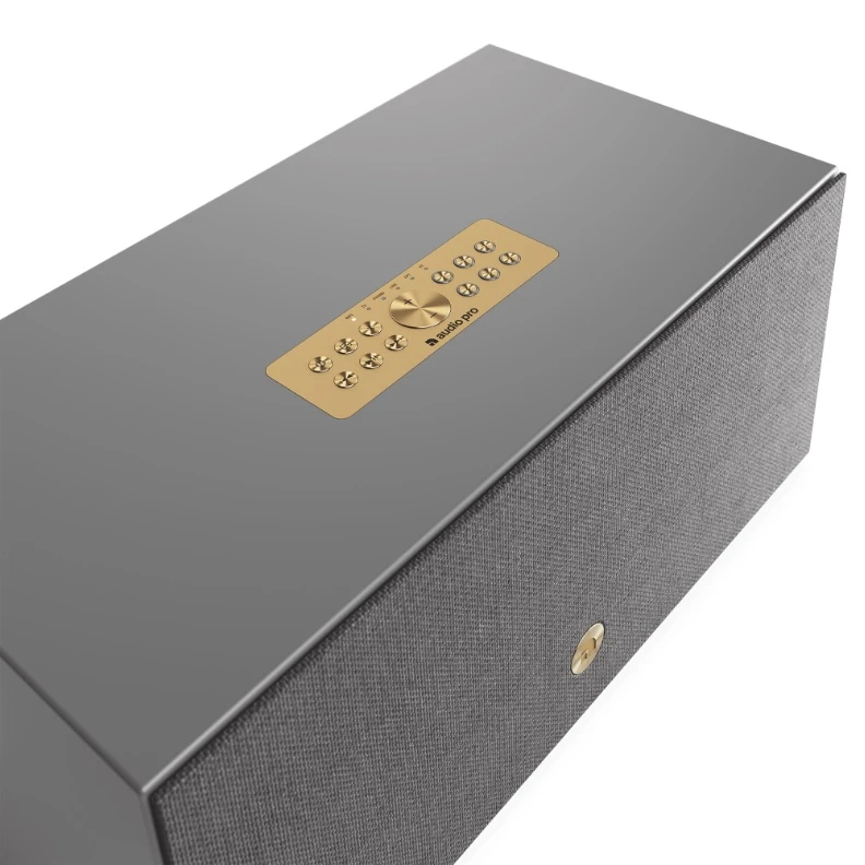 Audio Pro C20 W Šedá