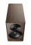 Dynaudio Focus 10  Walnut Wood