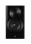 Dynaudio Focus 10  Black