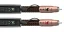 Audioquest Pegasus interconnect RCA 2m
