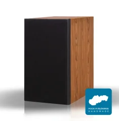 2A acoustic DS-6 Palisander F4