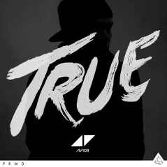 VINYL AVICII TRUE 1 LP