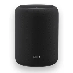 WiiM Sound Lite Black