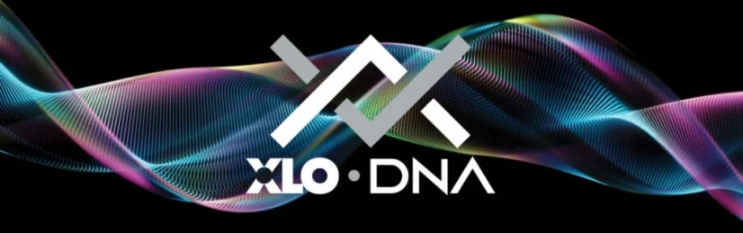 XLO DNA 1A RCA 1m
