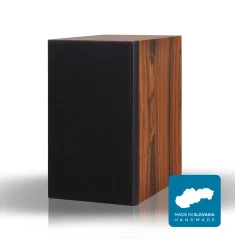 2A acoustic DS-6 (vystavený demo pár)  Palisander Salvador