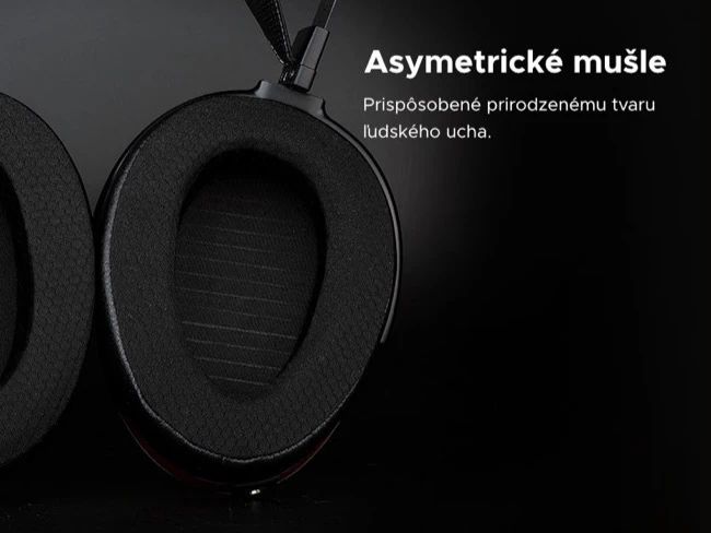 HiFiMAN Arya  ORGANIC