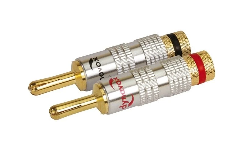 Dynavox Banana Speaker Set B4