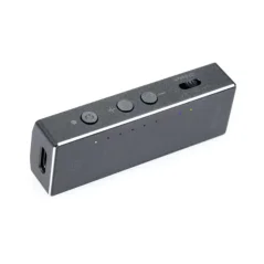 iFi audio Go bar