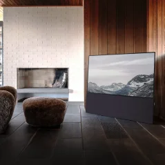 CANVAS SOLO