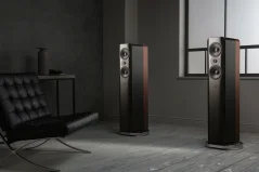 Q Acoustics Concept 500 Gloss Black/Rosewood