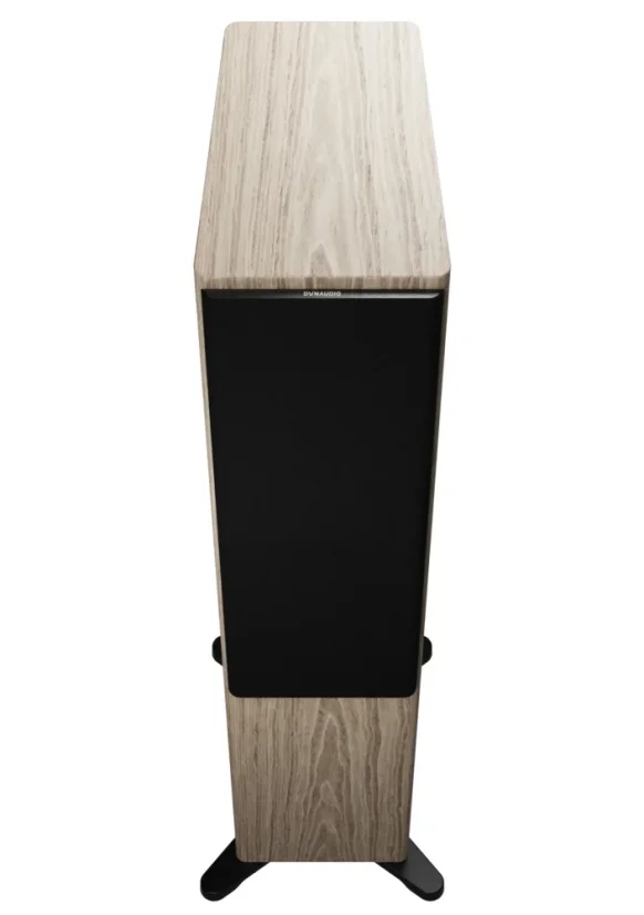 Dynaudio Focus 50  Blonde Wood