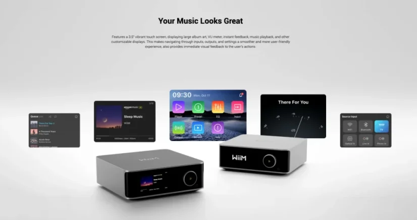 WiiM Ultra Strieborná