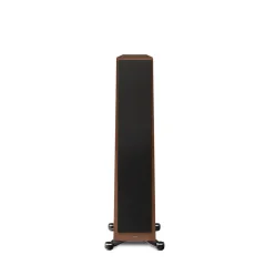 Paradigm Founder 80F Walnut
