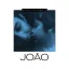 VINYL BEBEL GILBERTO - JOAO