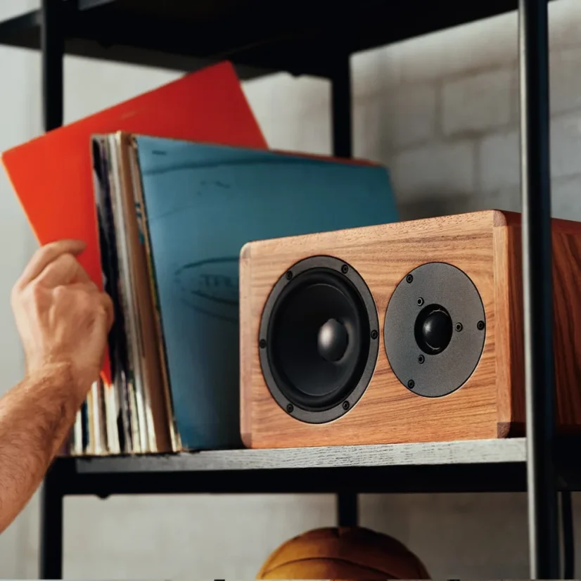 Dynaudio LEGEND Palisander