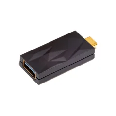 iFi audio iSilencer+  Type C >Type A