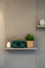 Audio Pro T3+ garden