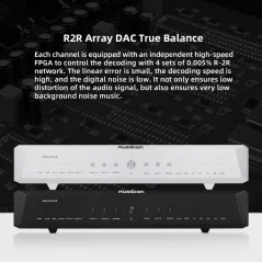 Musician Audio AQUARIUS R2R DAC Strieborná