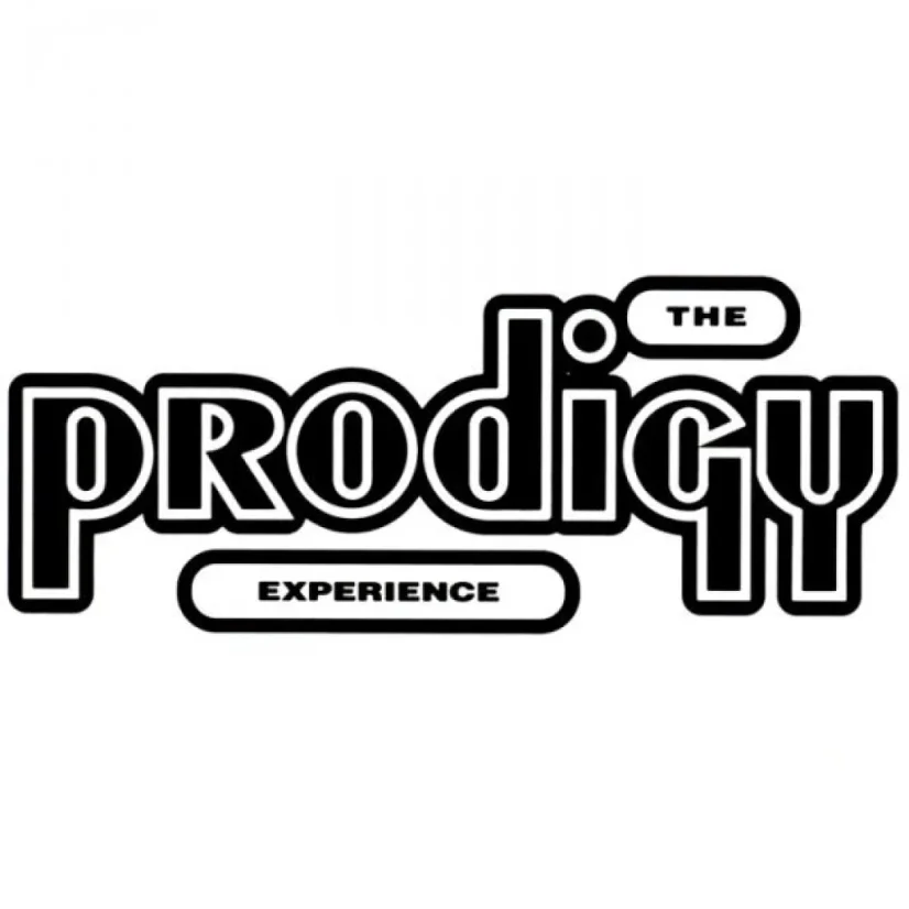 VINYL PRODIGY Experience