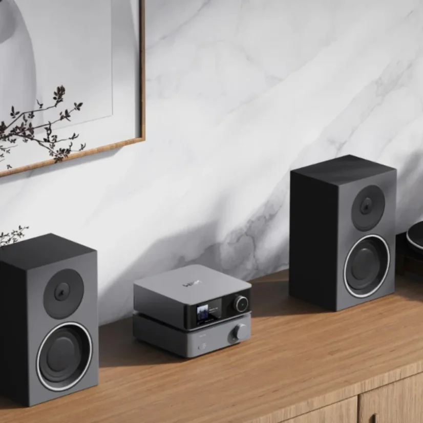 WiiM Ultra + Vibelink Amp Šedá