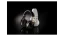 VOX VH-Q1 BK