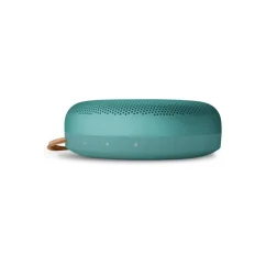 Bang & Olufsen Beosound A1 3rd Gen  Eucaplyptus Green