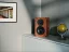 Dynaudio LEGEND Palisander
