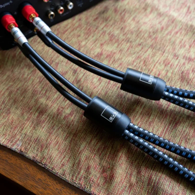 SVS SoundPath Ultra Bi-Wire Speaker Cable 6m