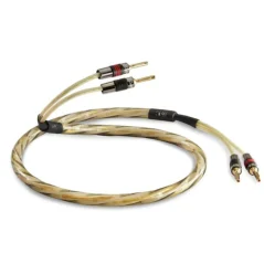 QED 50 Golden Anniversary XT 2m