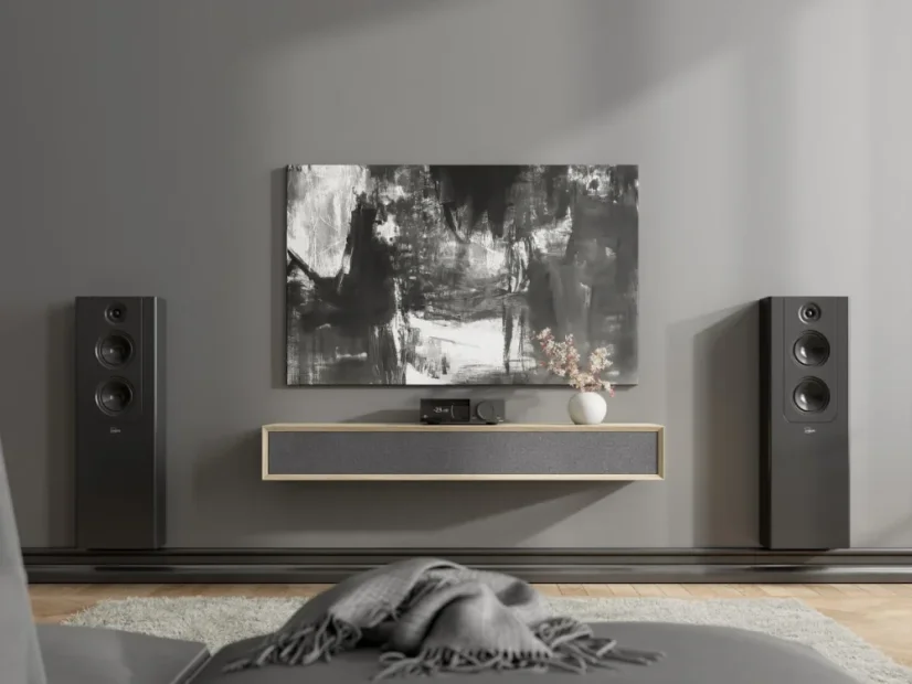 Lyngdorf TDAI-2210