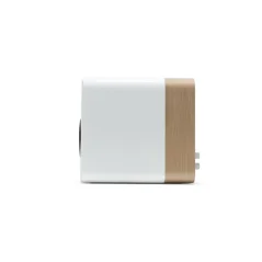 Q Acoustics Concept 300 white/light oak