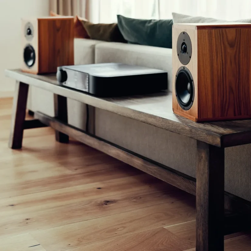 Dynaudio LEGEND Palisander