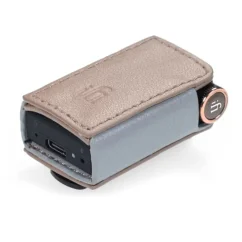 iFi audio GO Blu case
