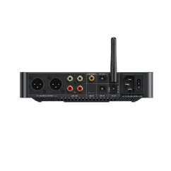FiiO BR15 R2R Black