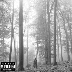 VINYL Taylor Swift - Folklore 2LP