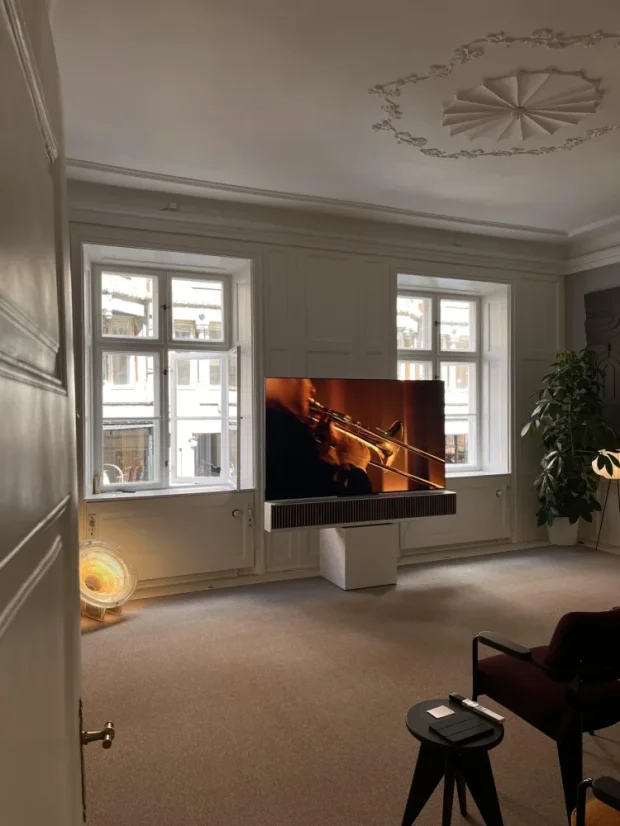 Dynaudio Opus One Detail lamiel
