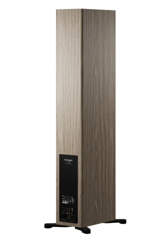 Dynaudio Focus 50  Blonde Wood