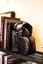 HiFiMAN Arya  ORGANIC
