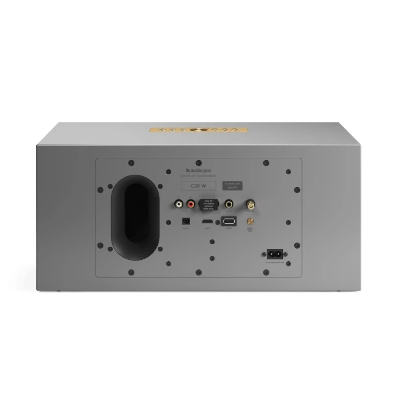 Audio Pro C20 W Šedá