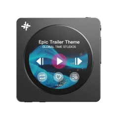 FiiO SNOWSKY Disc Čierna