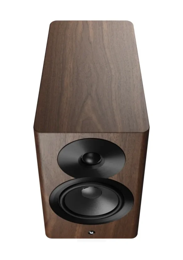 Dynaudio Focus 10  Walnut Wood
