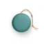 Bang & Olufsen Beosound A1 3rd Gen  Eucaplyptus Green