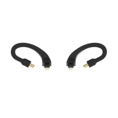iFi audio GO pod Ear Loop Pentaconn Ear