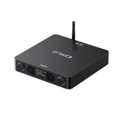 FiiO BR15 R2R Black