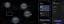 WiiM Pro