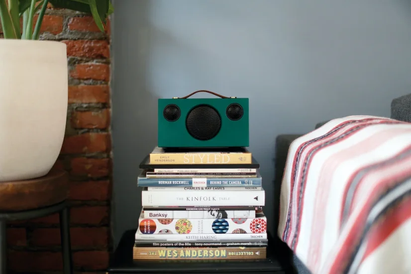 Audio Pro T3+ garden
