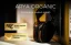 HiFiMAN Arya  ORGANIC