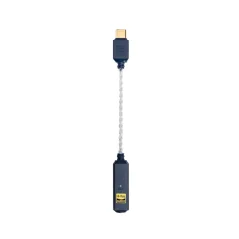 iFi audio GO link 2