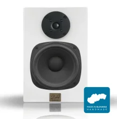 2A acoustic PB-6  Biela