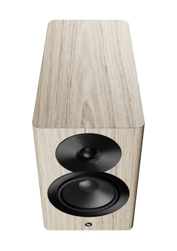 Dynaudio Focus 10  Blonde Wood